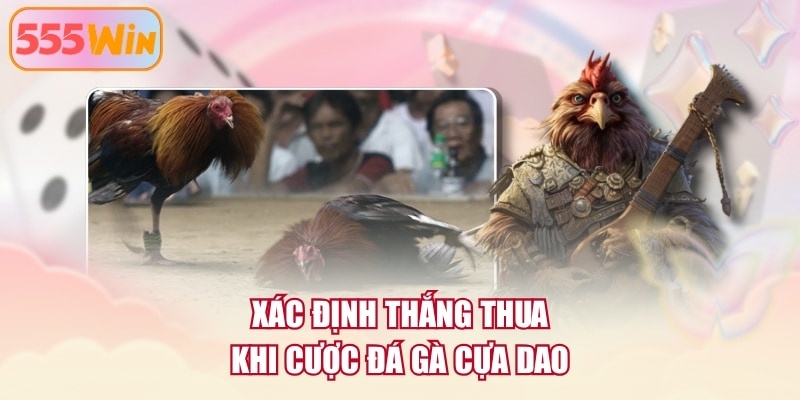 Xác định thắng thua khi cược đá gà cựa dao